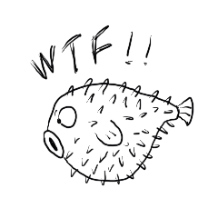 ugly puffer fish