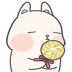 sweet rabbit momozzi