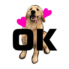 Gr OKARA_20181210162033