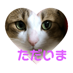 Milky_2018120416283201