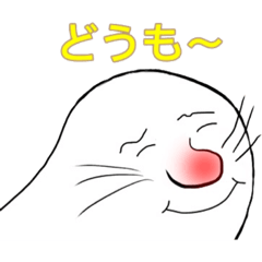 cho  cho  ka 16