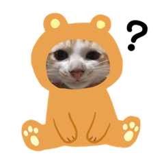 kinako_20181213214651