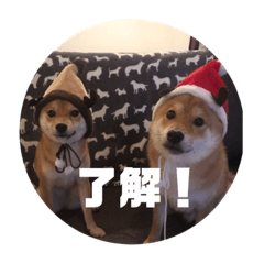 non&maru