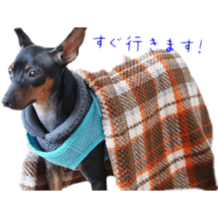 MINT_20181213211454