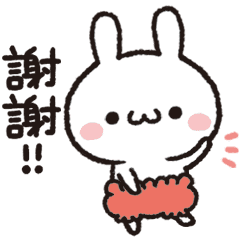 Gybee Bunny(Taiwan)