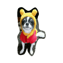 arisa_20181211225524