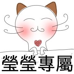 Yingying special - shy cat