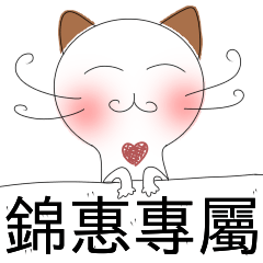 Jinhui special - shy cat