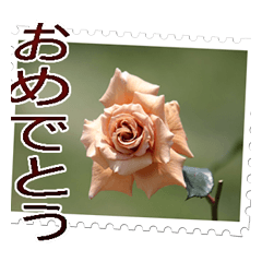 薔薇の切手風スタンプ