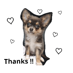 arisa_20181212000005