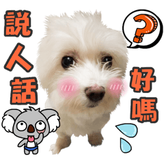琪の這一家