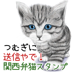 Tsumugi Kansaiben soushin cat
