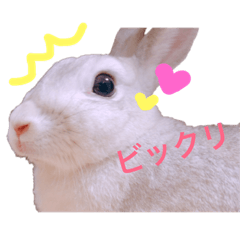 mero_201812091326133