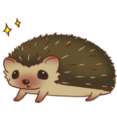 Hedgehog Garnet