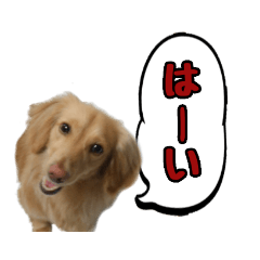 ken_20181214134654