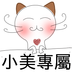 Xiaomei special - shy cat