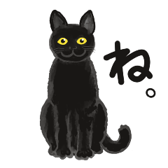 黒猫 (日常、共感表現）
