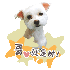 萌萌寶貝啾秧丹