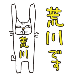 Only for Mr. Arakawa Banzai Cat