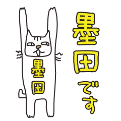 Only for Mr. Sumida Banzai Cat