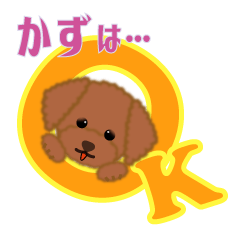 For Kazu [Toy poodle]