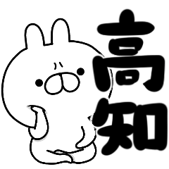 tanuchan kochi rabbit