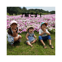 yama_20181215232741