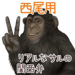 Nishio Monkey's real myouji