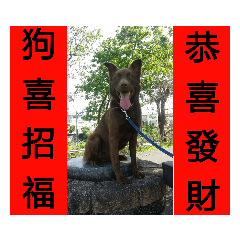 吠喜吠財