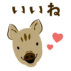 Kawaii Wild Boar Piglet