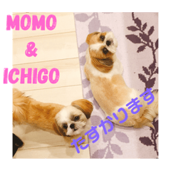 hide_20181214002245