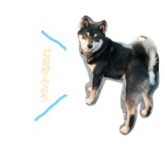 kazuki_20181214154502