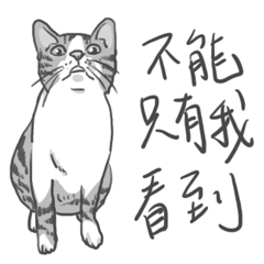 Annoying Cat - Mifu Part 2