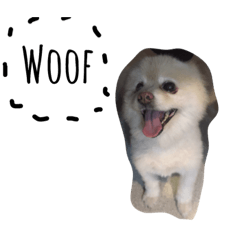 Polala