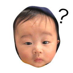 hachi_20181216213535