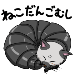 Rolly Polly Cat