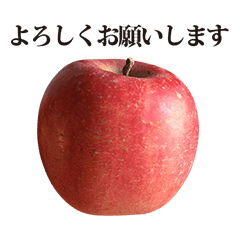 ringo 4 apple