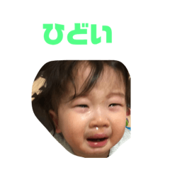 Midori_20181217134206