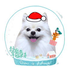 Ms.momopig Stickers 4 - Xmas & New Year