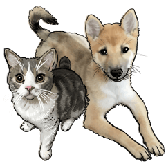 NUNOKAWA DOGS&CATS HOSPITAL:2