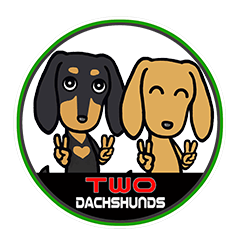 Two dachshunds NO,2