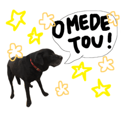 AKANE_20181218012334