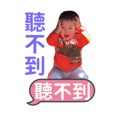 陳家 雙寶