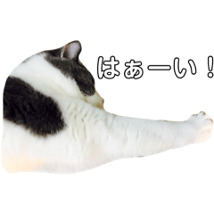 Marina_20181215142340