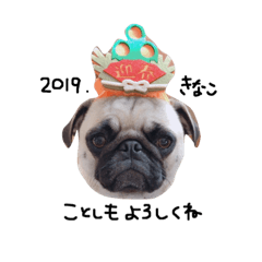 kinako_20181216151654