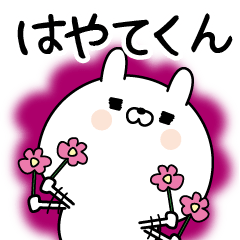 Name Sticker to send to Hayatekun