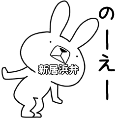 Dialect rabbit [niihama]