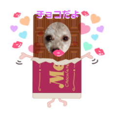 Chisa_20181218020229