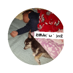 miyo_20181216112951