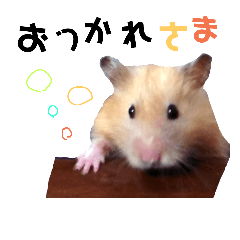 The monpy of hamster!!3